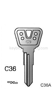 C36
