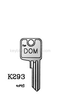 K293